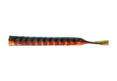 NATC Lady Dragonworm 6-pack PUMPKIN SPICE / 11CM / 6,8G