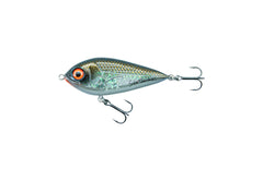 Squarepusher GOLDEN BREAM / 7CM / 20G