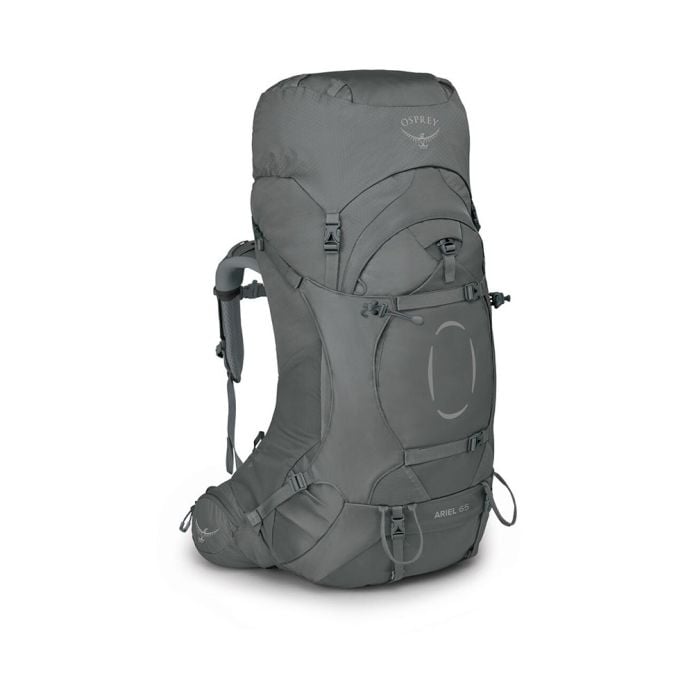 Ariel 65 MEDIUM GRAY / WM/L