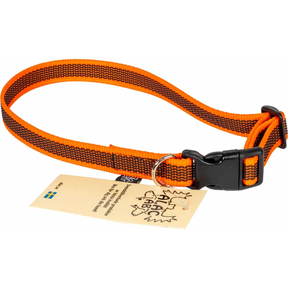 Hundhalsband antiglid