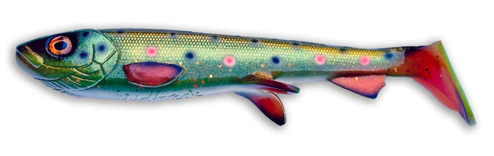Wolfcreek Shad 20