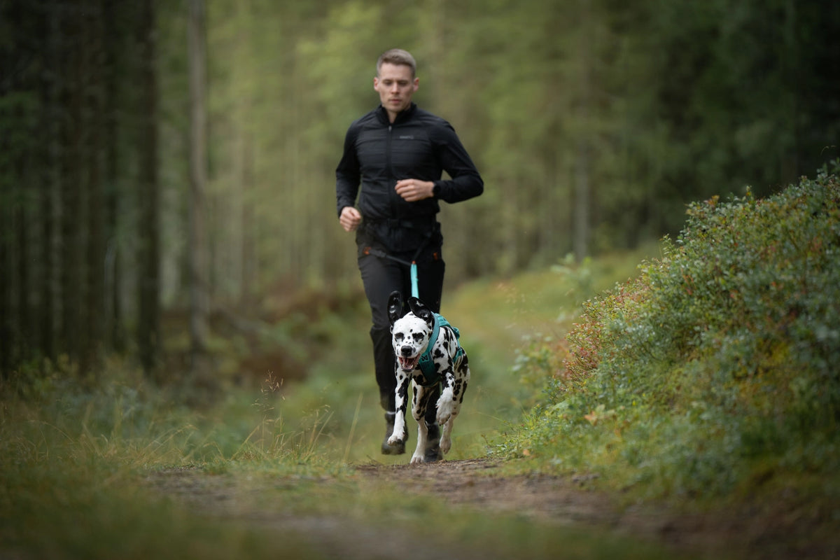 CaniX belt 3.0, Unisex Ergonomiskt löparbälte för canicross och löpning med hund