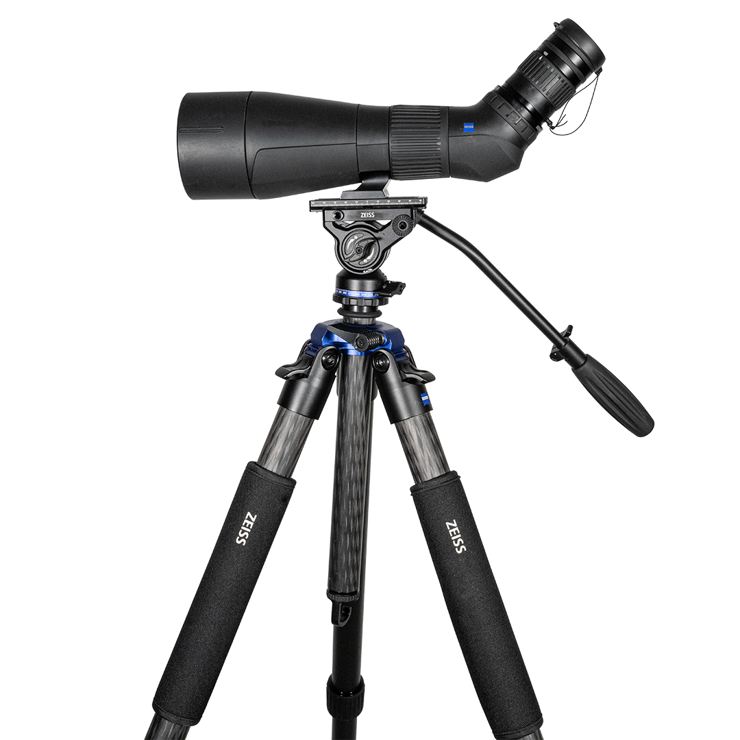 Zeiss Gavia 30-60x85 Med Zeiss Pro-Series Universal Kolfiberstativ