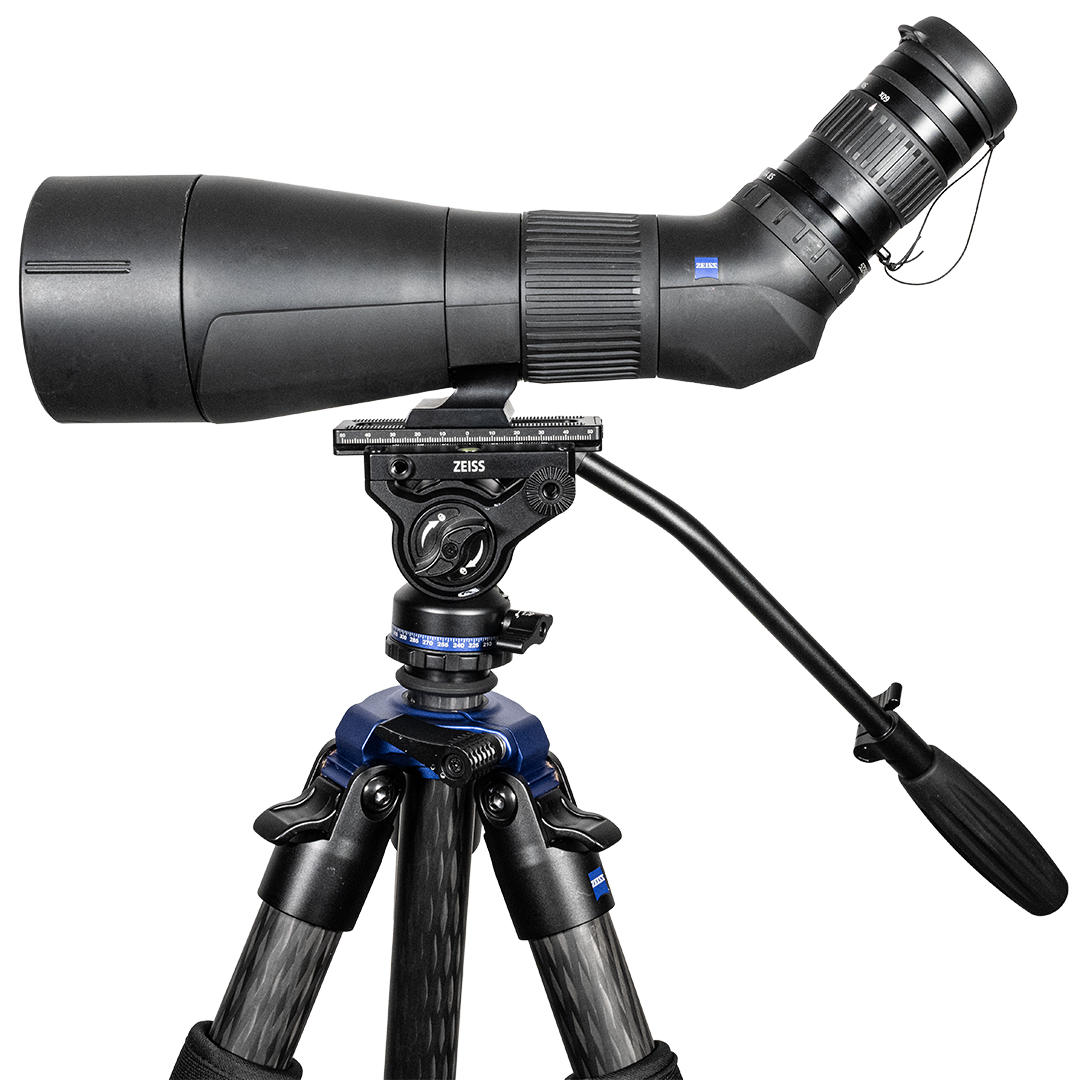 Zeiss Gavia 30-60x85 Med Zeiss Pro-Series Universal Kolfiberstativ
