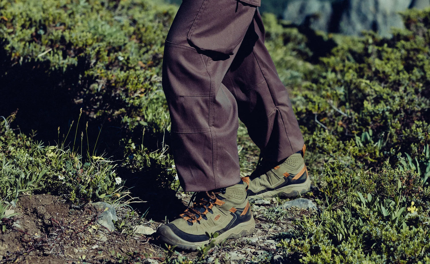 Vandringskänga Targhee IV MID WP Men