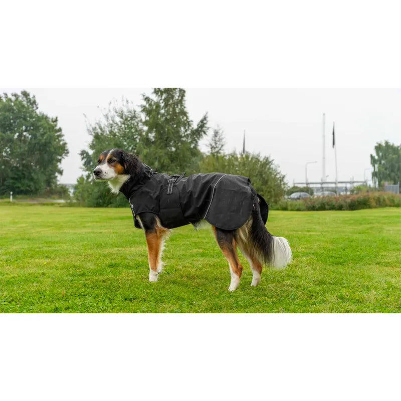 Regntäcke hund