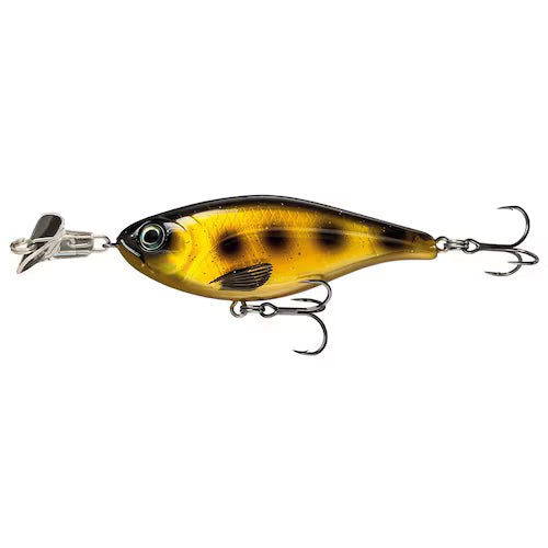 Cranky Shad
