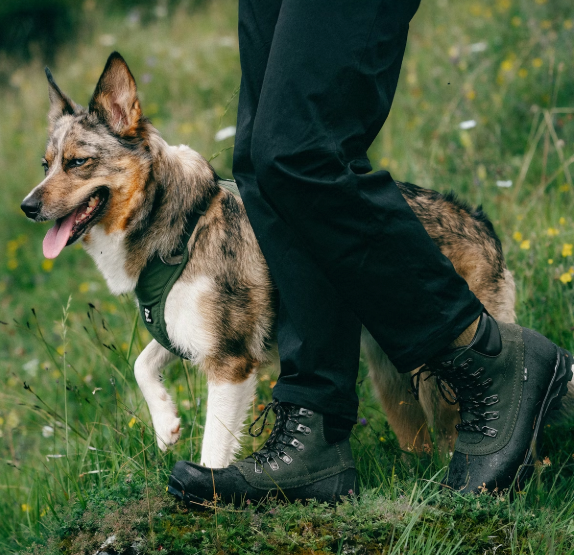 Tjakke II Trekking Boot Mid Unisex