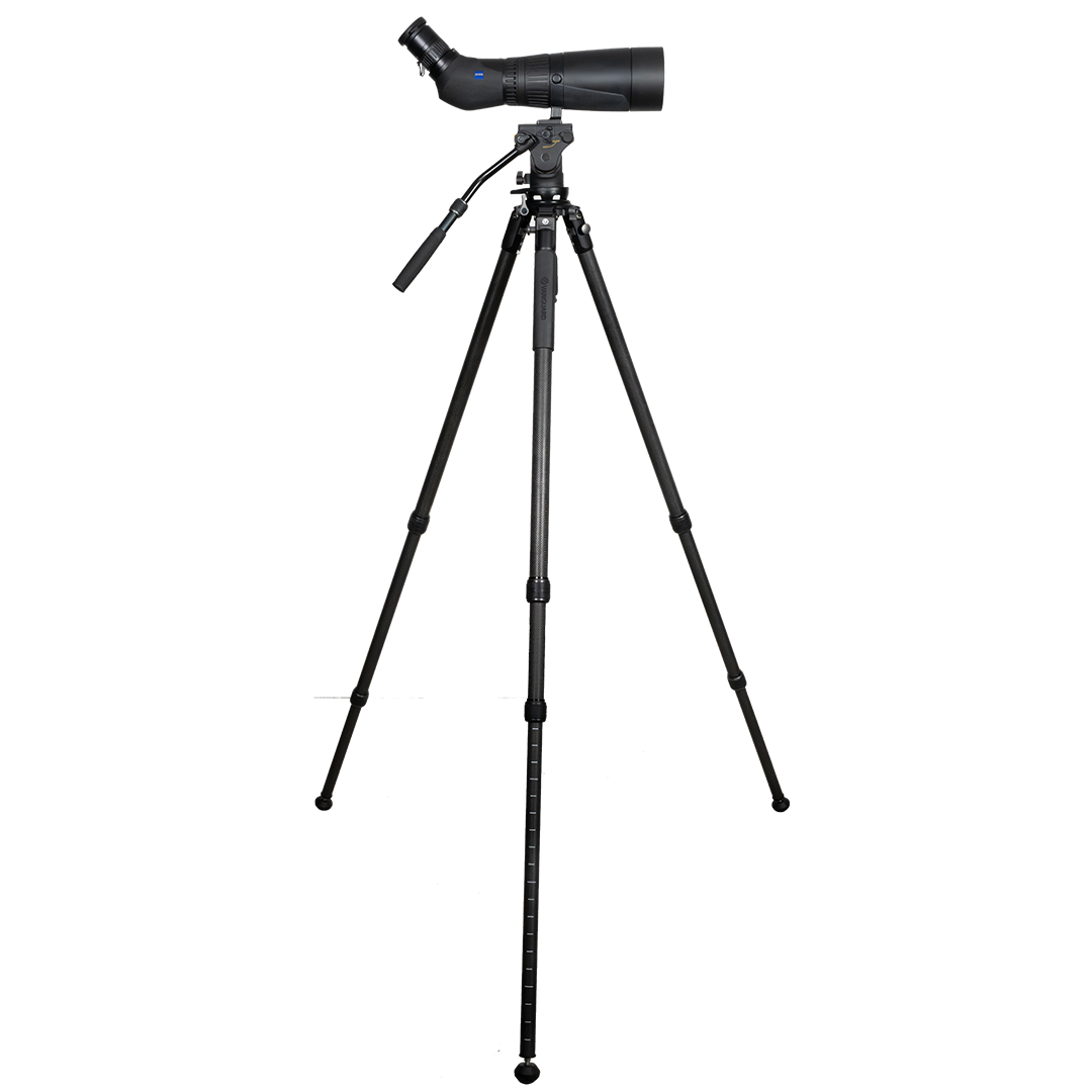 Zeiss Victory Harpia 22-65x85 Tubkikarpaket