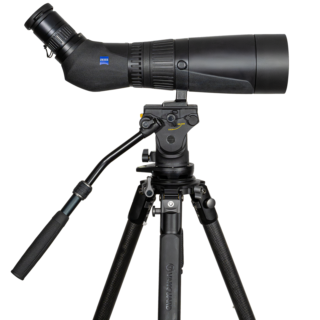 Zeiss Victory Harpia 22-65x85 Tubkikarpaket