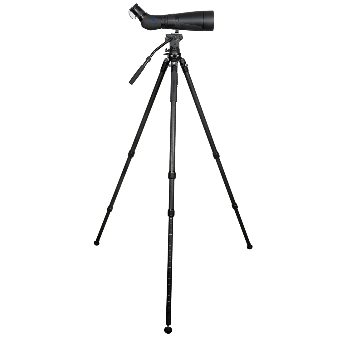 Zeiss Victory Harpia 30-70x95 Tubkikarpaket