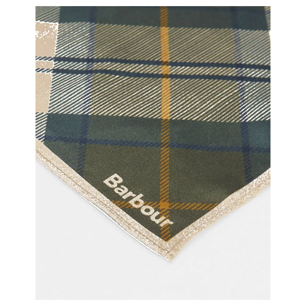 Barbour Kinsale Scarf