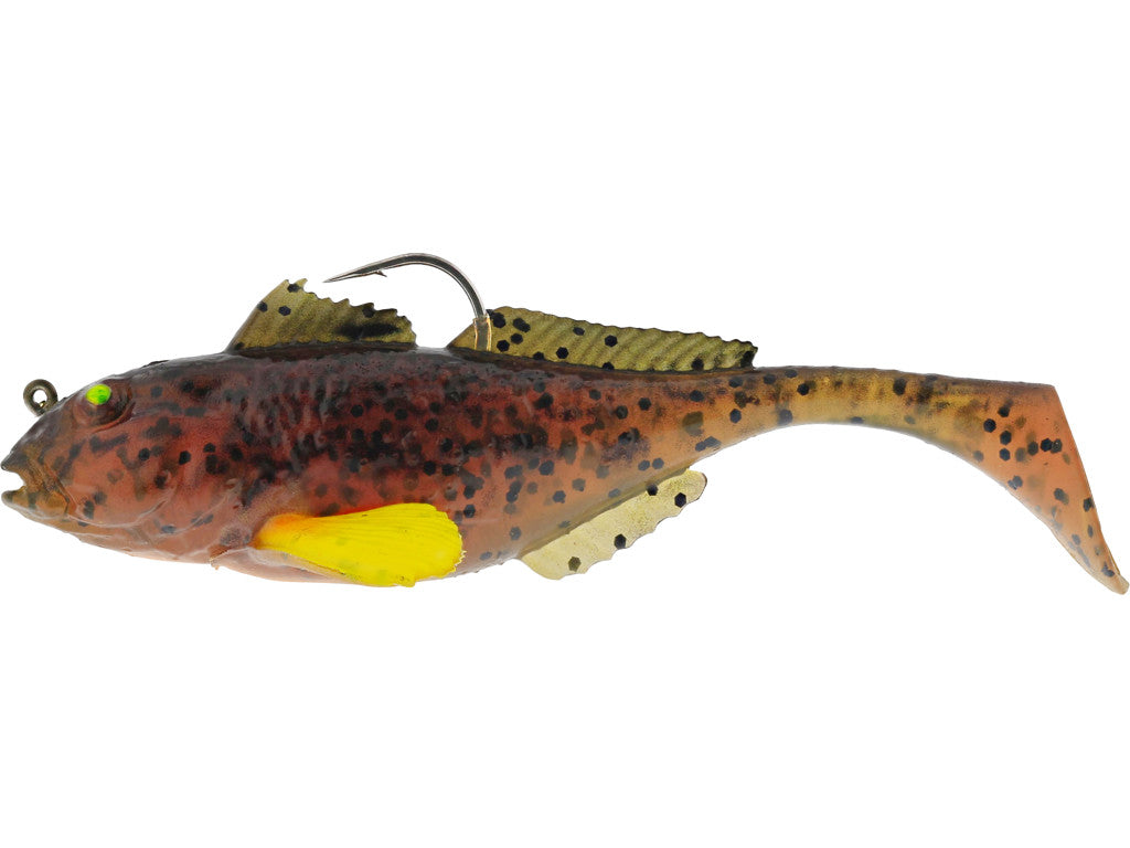 Gunnar The Goby R2F