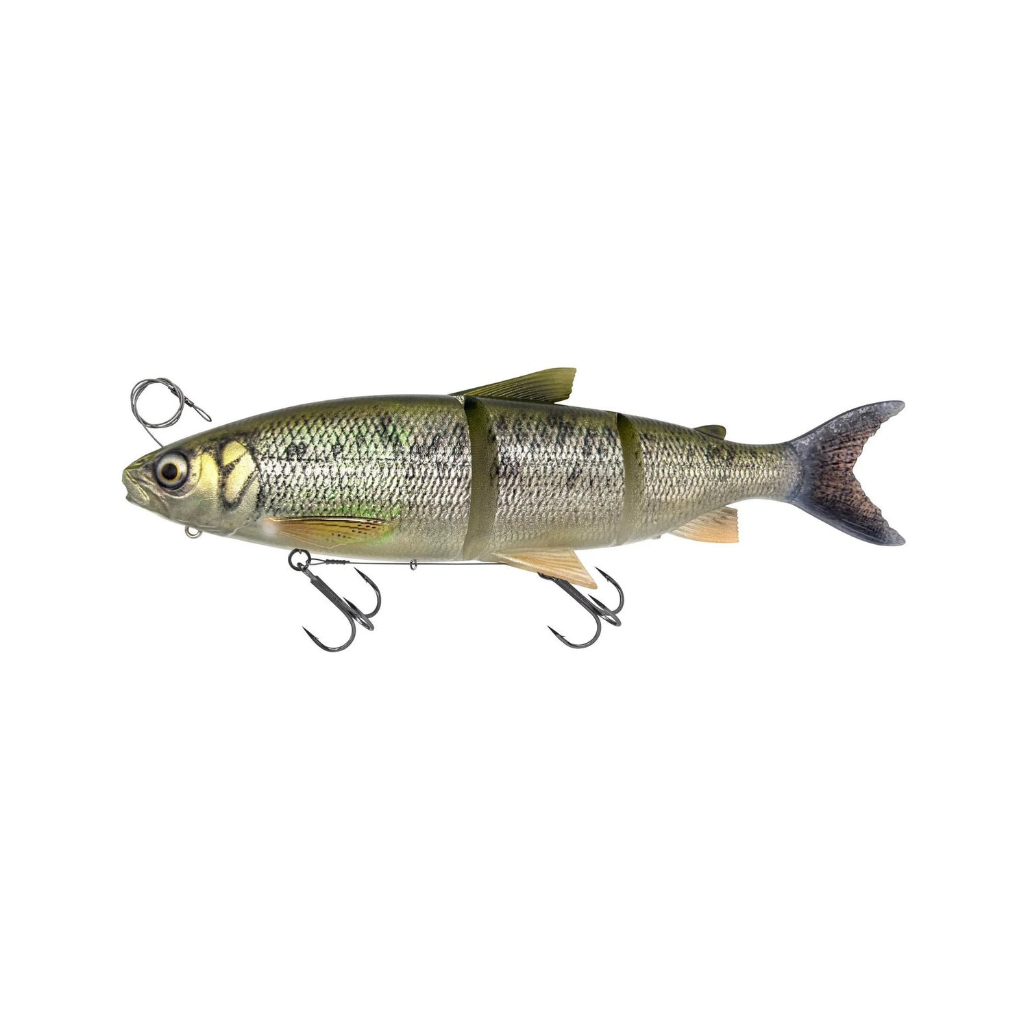 3D Line Thru Whitefish