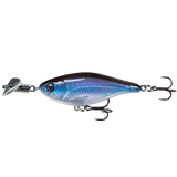 Cranky Shad