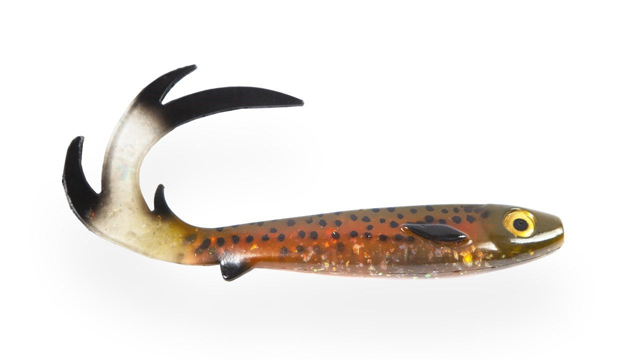 Flatnose Dragon