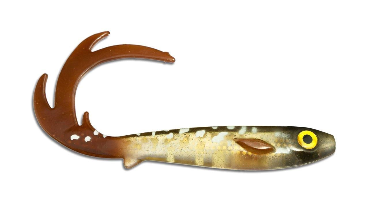 Flatnose Dragon