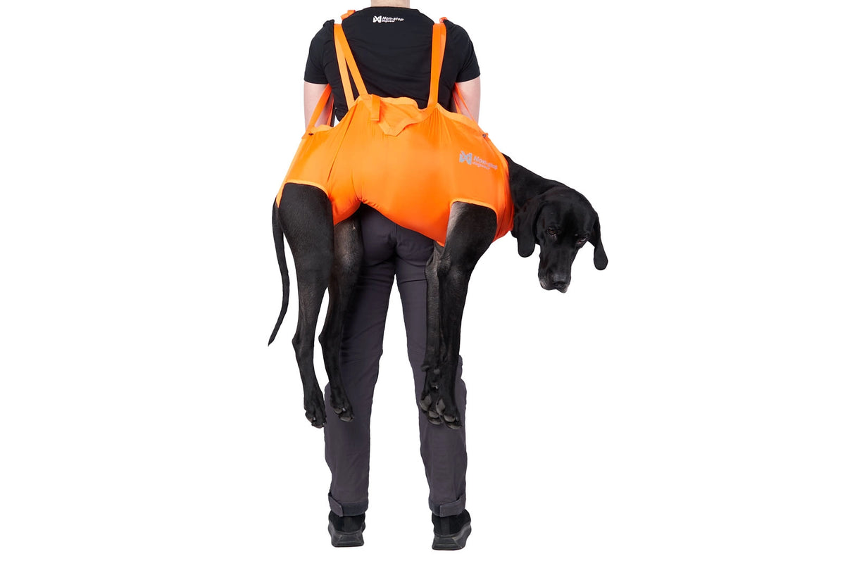 Dog rescue sling, räddningssele för hund