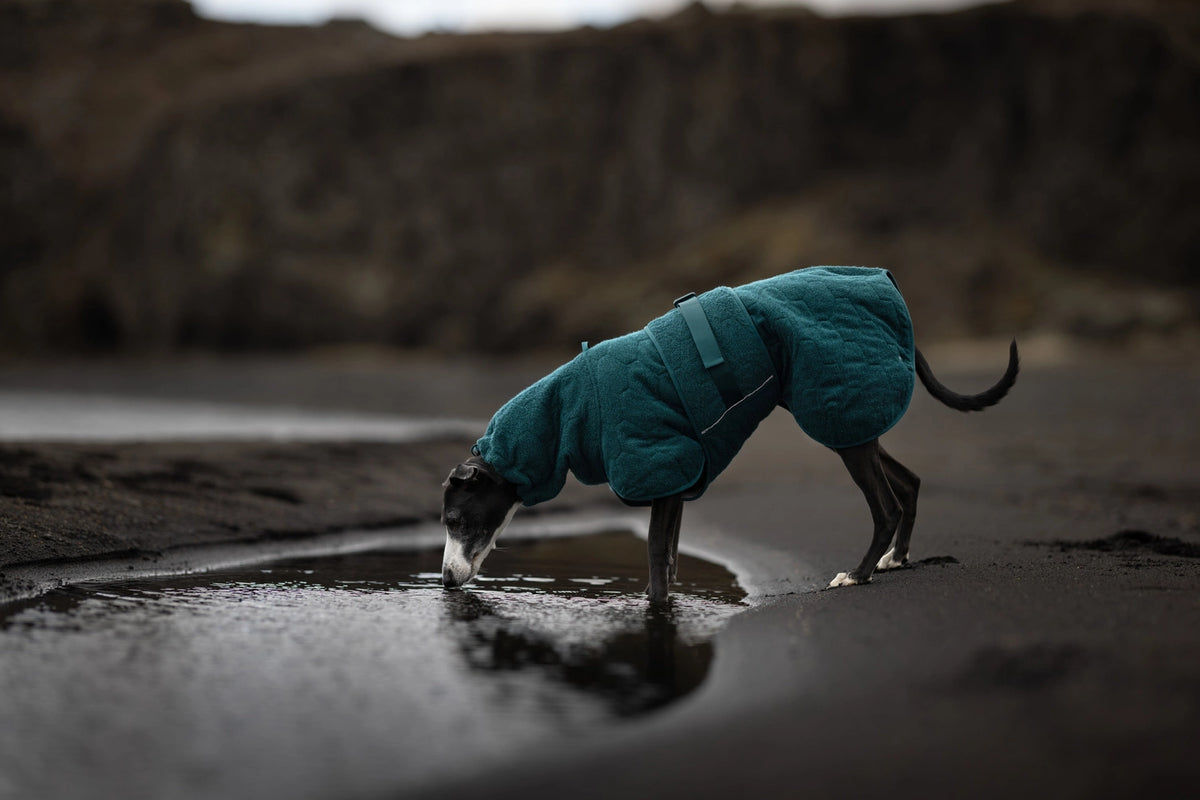 Drying coat, Snabbtorkande hundbadrock