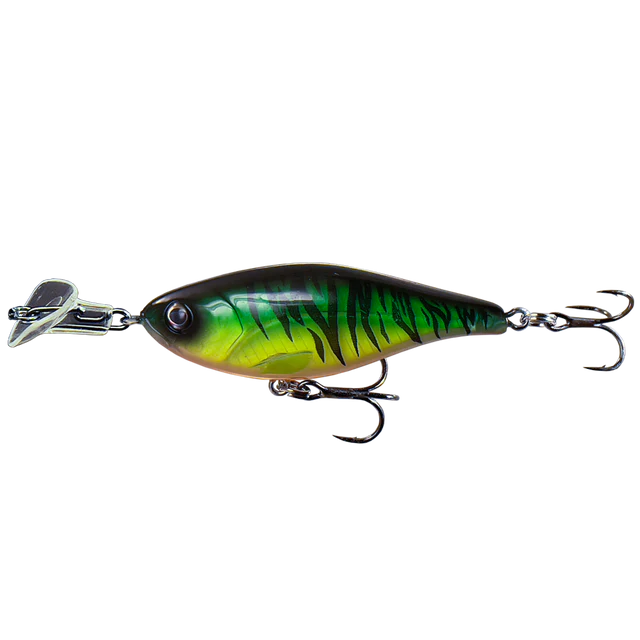 Cranky Shad
