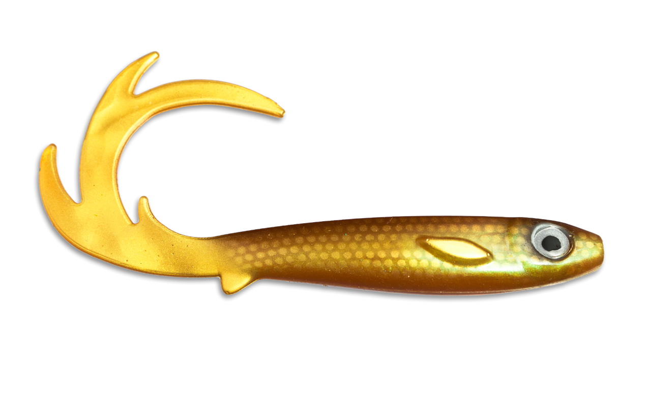 Flatnose Dragon