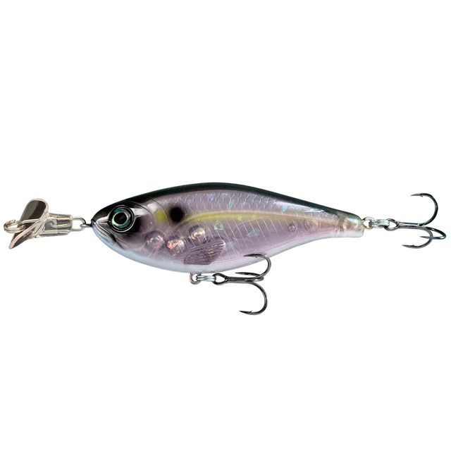 Cranky Shad