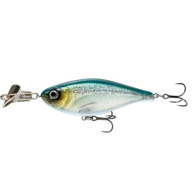 Cranky Shad