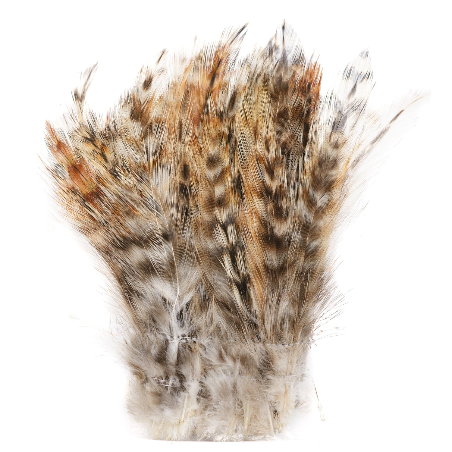 Strung Saddle Hackle