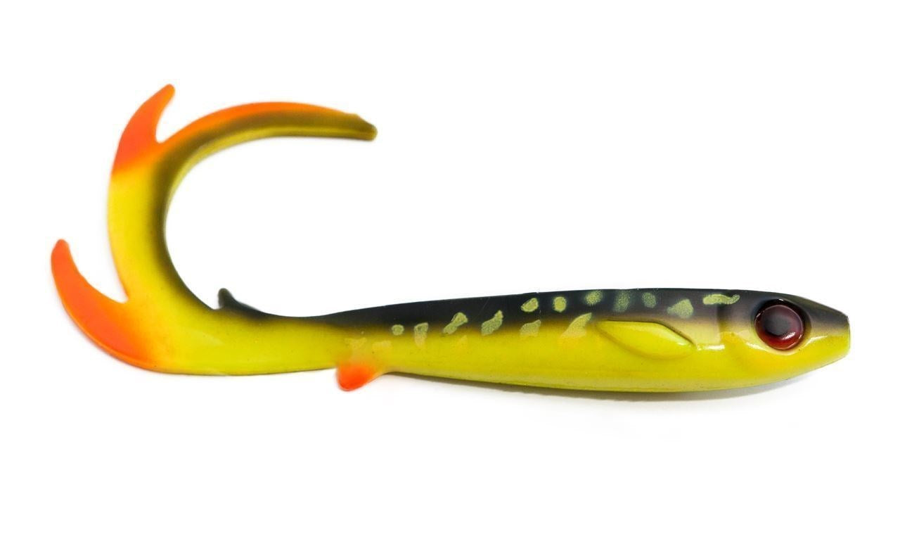 Flatnose Dragon