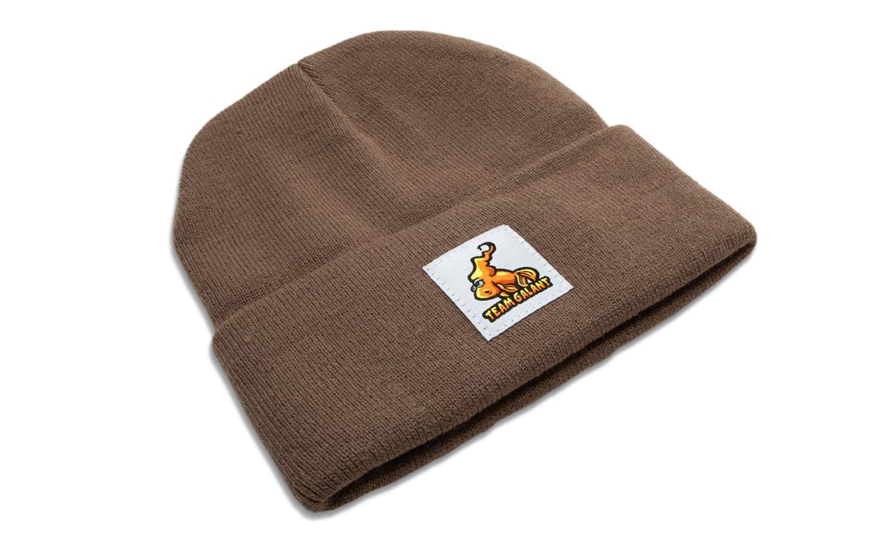 Team Galant Beanie