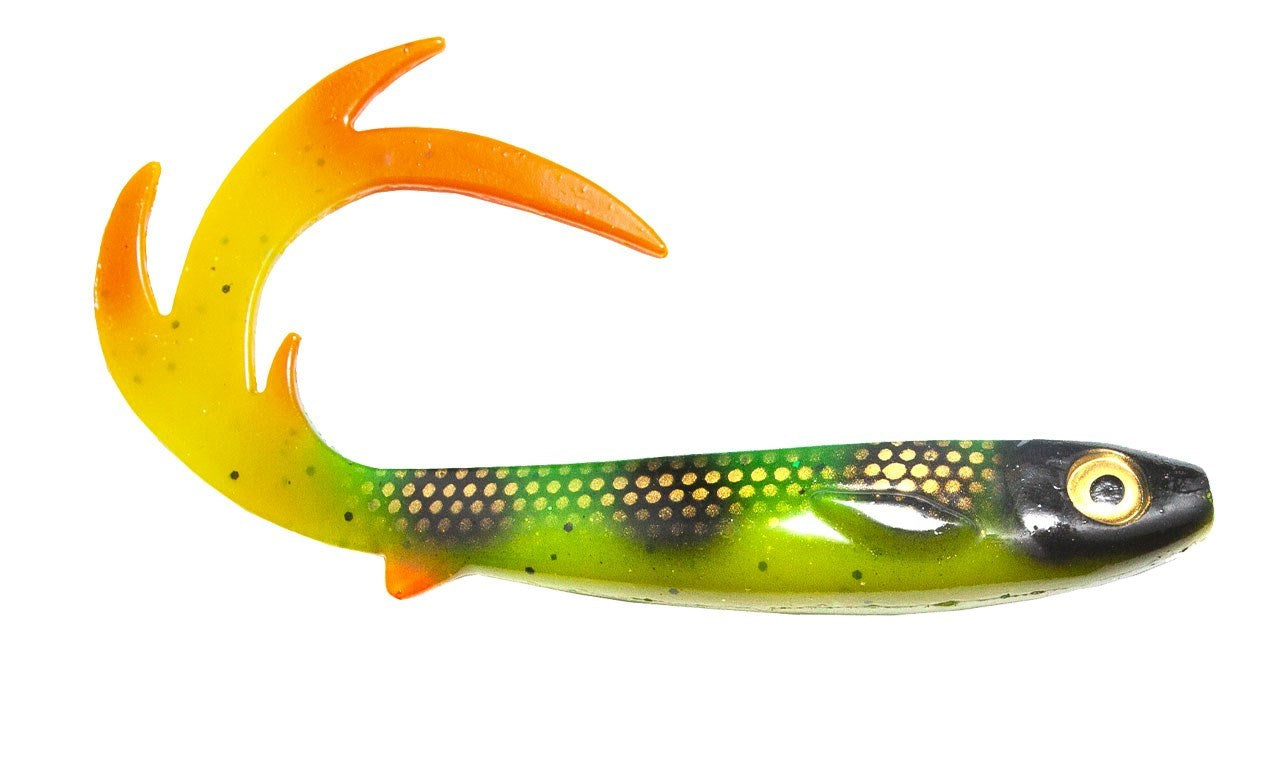 Flatnose Dragon