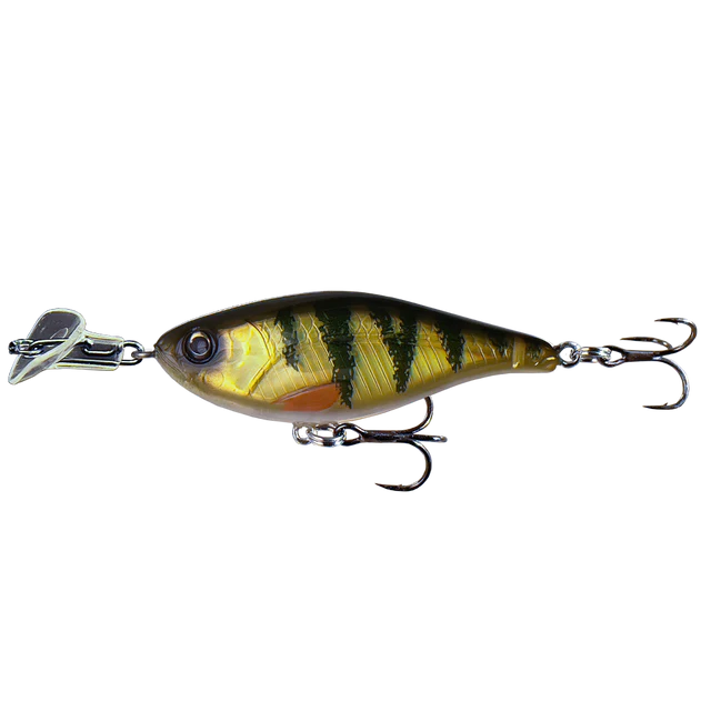 Cranky Shad