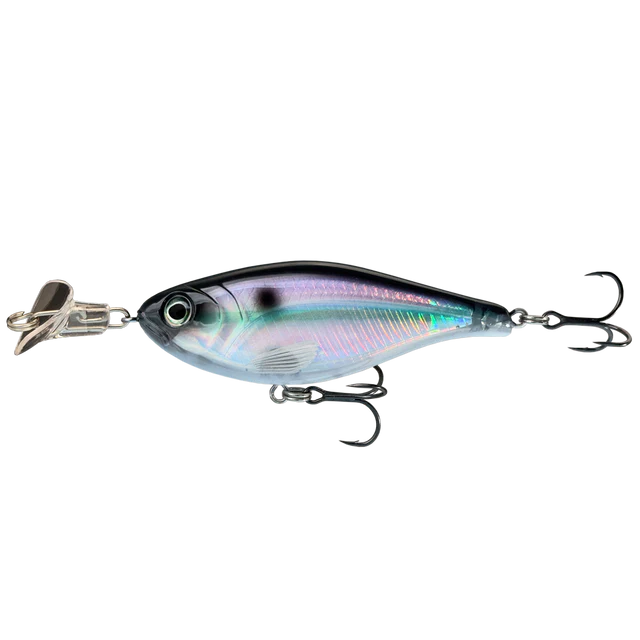 Cranky Shad