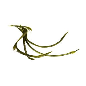 Goosebiots