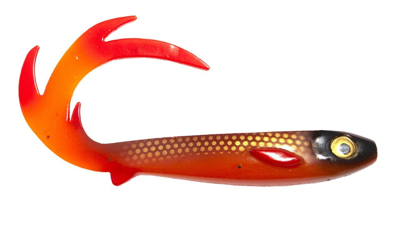 Flatnose Dragon