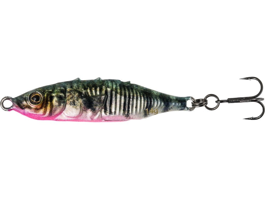 Stickleback