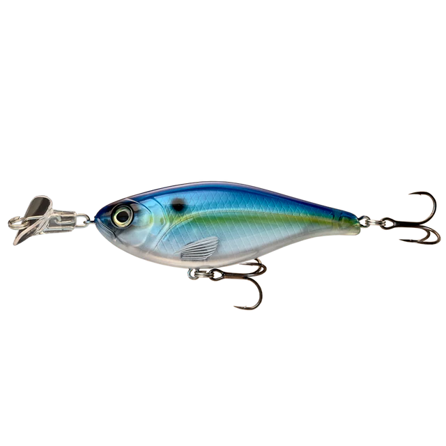 Cranky Shad