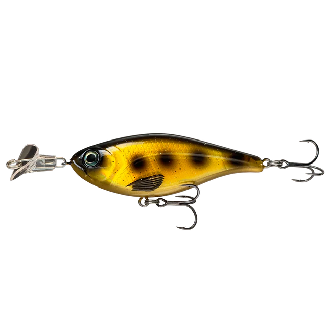 Cranky Shad