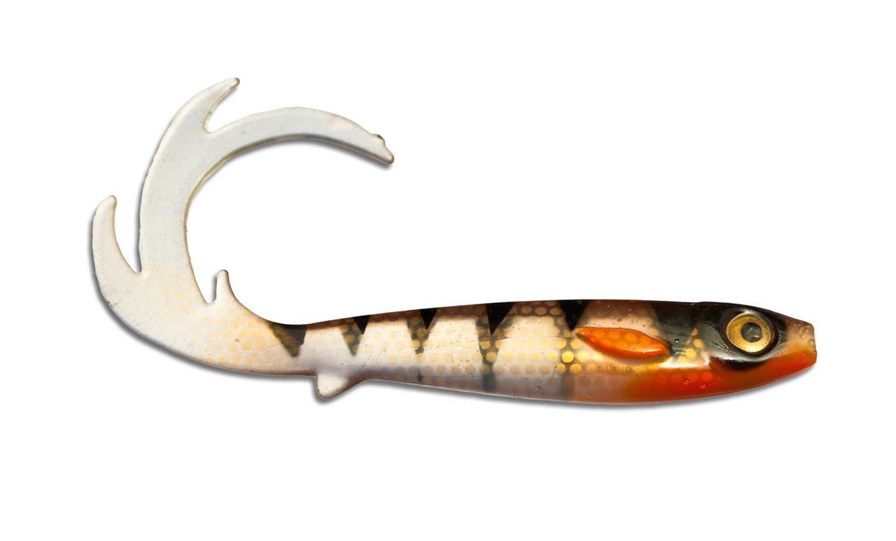 Flatnose Dragon