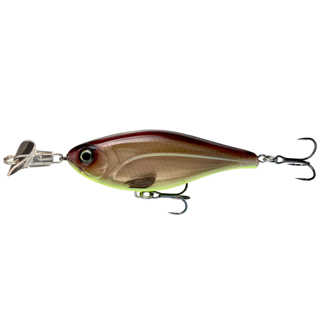 Cranky Shad